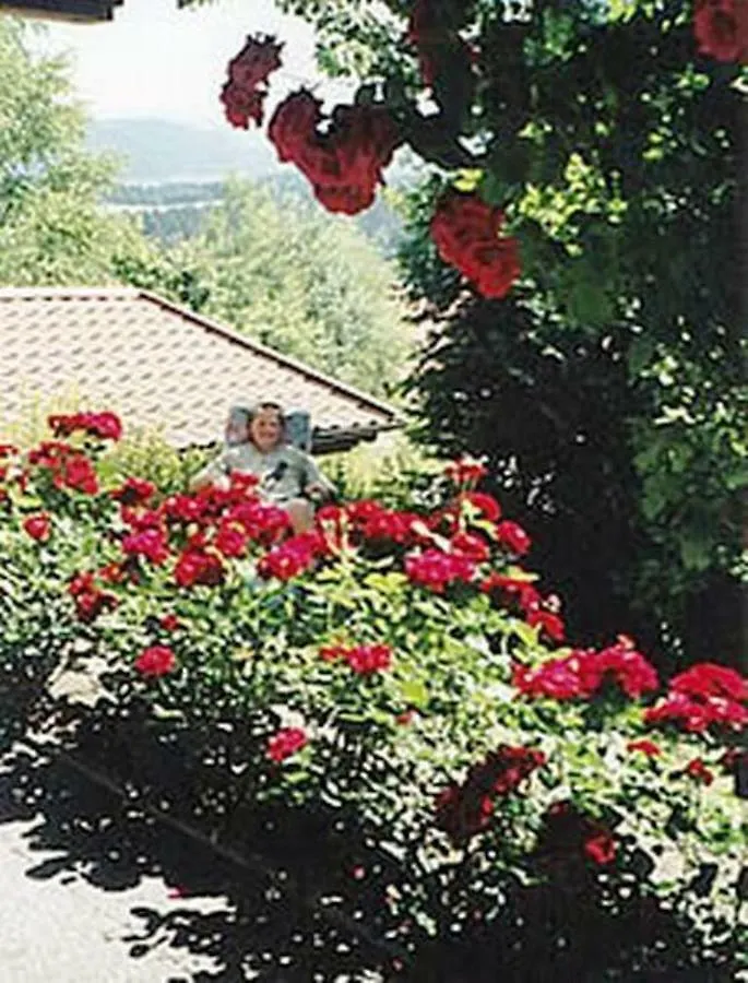 Apartament Haus Bergblick Bay. Wald Prackenbach