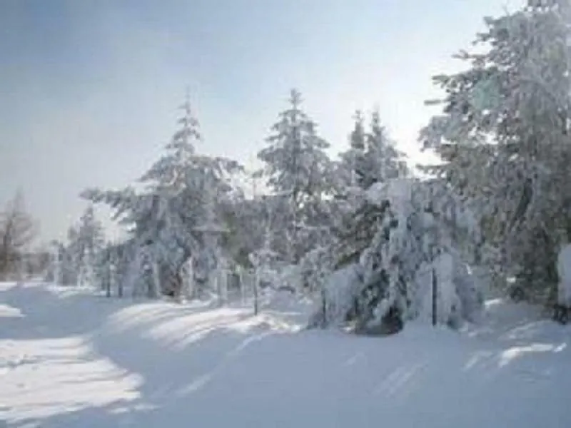 Apartament Haus Bergblick Bay. Wald Prackenbach Niemcy